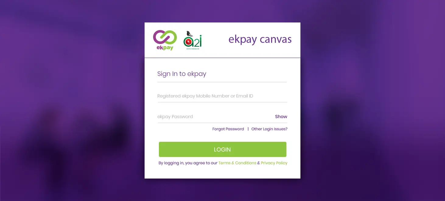 ui design ekpay login5